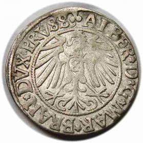 Picture 2 for: Grosz 1542 Albrecht Hohenzollern Księstwo Pruskie Królewiec