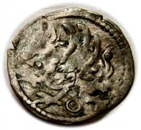 Picture 2 for: Kwartnik Szczecin