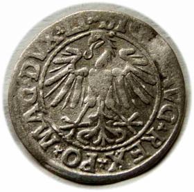 Picture 2 for: Półgrosz 1547 Zygmunt II August Wilno