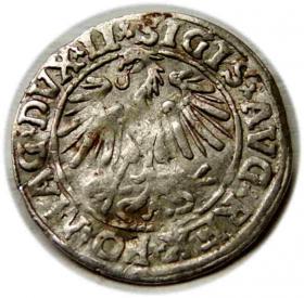 Picture 2 for: Półgrosz 1547 Zygmunt II August Wilno