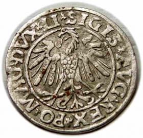 Picture 2 for: Półgrosz 1547 Zygmunt II August Wilno