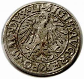 Picture 2 for: Półgrosz 1548 Zygmunt II August Wilno