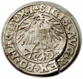 Picture 2 for: Half groschen 1549 Sigismund II Augustus Vilnius