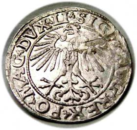 Picture 2 for: Półgrosz 1551 Zygmunt II August Wilno