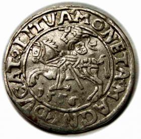 Picture for: Półgrosz 1556 Zygmunt II August Wilno