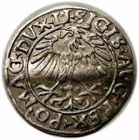 Picture 2 for: Półgrosz 1556 Zygmunt II August Wilno