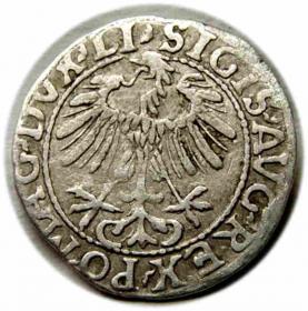 Picture 2 for: Półgrosz 1557 Zygmunt II August Wilno