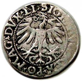 Picture 2 for: Half groschen 1558 Sigismund II Augustus Vilnius