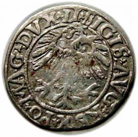 Picture 2 for: Półgrosz 1558 Zygmunt II August Wilno