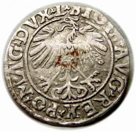 Picture 2 for: Półgrosz 1558 Zygmunt II August Wilno