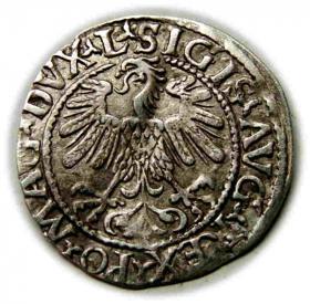 Picture 2 for: Half groschen 1559 Sigismund II Augustus Vilnius