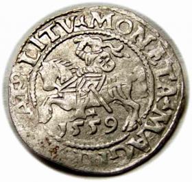Picture for: Half groschen 1559 Sigismund II Augustus Vilnius