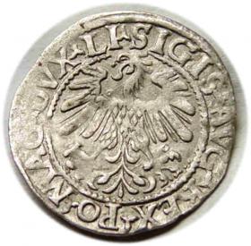 Picture 2 for: Half groschen 1559 Sigismund II Augustus Vilnius