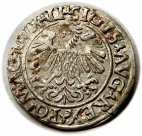 Picture 2 for: Półgrosz 1558 Zygmunt II August Wilno