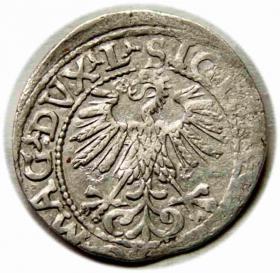 Picture 2 for: Half groschen 1560 Sigismund II Augustus Vilnius