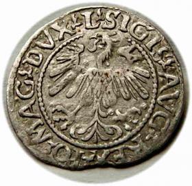 Picture 2 for: Półgrosz 1560 Zygmunt II August Wilno