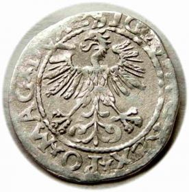 Picture 2 for: Half groschen 1560 Sigismund II Augustus Vilnius