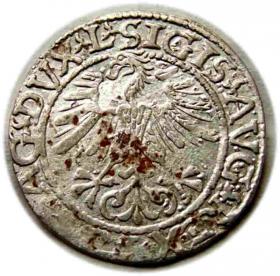 Picture 2 for: Half groschen 1561 Sigismund II Augustus Vilnius