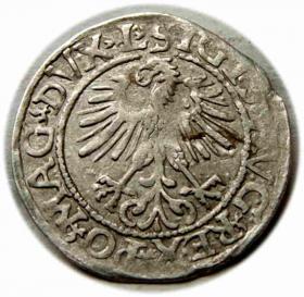 Picture 2 for: Półgrosz 1561 Zygmunt II August Wilno