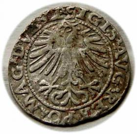 Picture for: Półgrosz 1563 Zygmunt II August Wilno