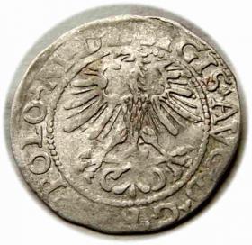Picture 2 for: Półgrosz 1564 Zygmunt II August Wilno