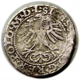 Picture 2 for: Half groschen 1564 Sigismund II Augustus Vilnius