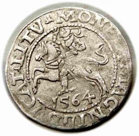 Picture for: Half groschen 1564 Sigismund II Augustus Vilnius