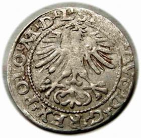 Picture 2 for: Half groschen 1564 Sigismund II Augustus Vilnius