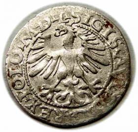 Picture 2 for: Półgrosz 1564 Zygmunt II August Wilno