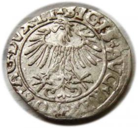 Picture 2 for: Półgrosz 1556 Zygmunt II August Wilno