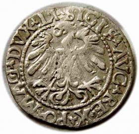 Picture 2 for: Półgrosz 1559 Zygmunt II August Wilno