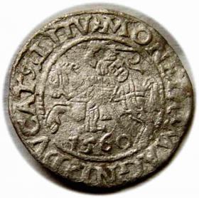 Picture for: Half groschen 1560 Sigismund II Augustus Vilnius