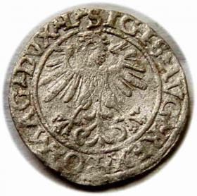 Picture 2 for: Half groschen 1560 Sigismund II Augustus Vilnius