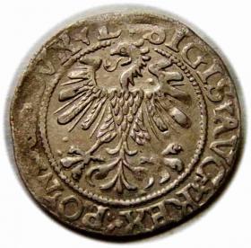 Picture 2 for: Półgrosz 1560 Zygmunt II August Wilno