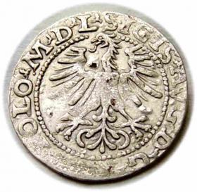 Picture 2 for: Half groschen 1564 Sigismund II Augustus Vilnius