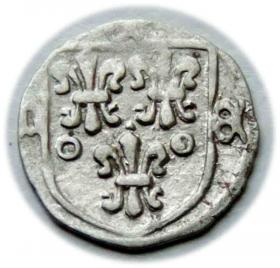 Picture for: Halerz Nysa