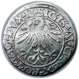 Picture 2 for: Półgrosz 1561 Zygmunt II August Wilno