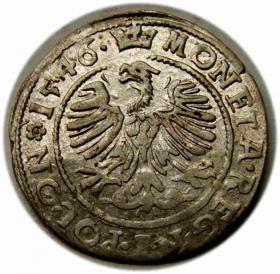 Picture 2 for: Grosz 1546 Zygmunt I Stary Kraków