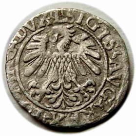 Picture 2 for: Half groschen 1559 Sigismund II Augustus Vilnius