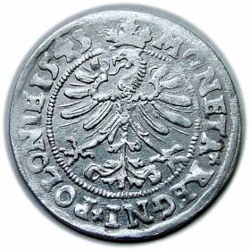 Picture 2 for: Grosz 1545 Zygmunt I Stary Kraków