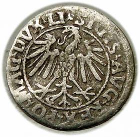 Picture 2 for: Półgrosz 1546 Zygmunt II August Wilno