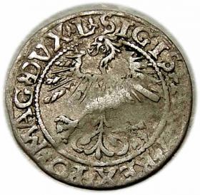 Picture 2 for: Half groschen 1561 Sigismund II Augustus Vilnius