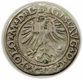 Picture 2 for: Półgrosz 1564 Zygmunt II August Wilno