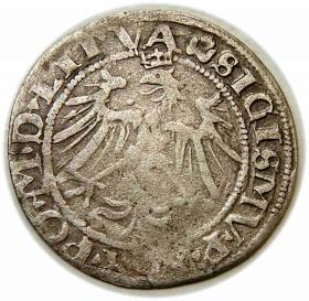 Picture 2 for: Grosz 1536 Zygmunt I Stary Wilno