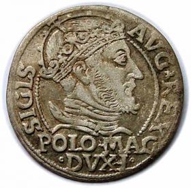 Picture for: Grosz litewski na stopę polską 1547 Zygmunt II August Wilno