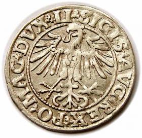 Picture 2 for: Półgrosz 1549 Zygmunt II August Wilno