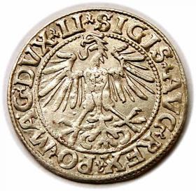 Picture 2 for: Półgrosz 1549 Zygmunt II August Wilno