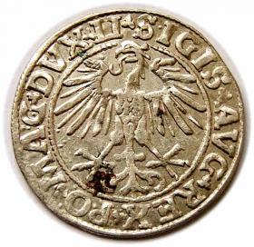 Picture 2 for: Półgrosz 1550 Zygmunt II August Wilno