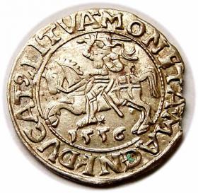 Picture for: Half groschen 1556 Sigismund II Augustus Vilnius