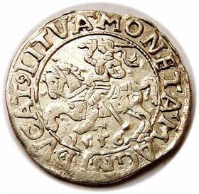 Picture for: Half groschen 1556 Sigismund II Augustus Vilnius